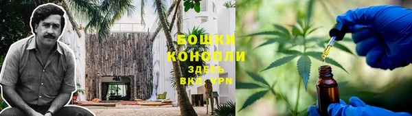 винт Аркадак
