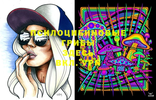 винт Аркадак