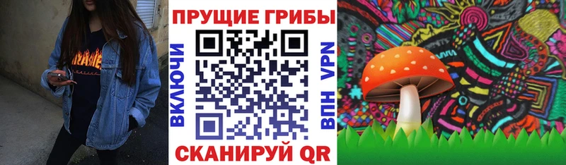 Купить  Шарья  Псилоцибиновые грибы Magic Shrooms 