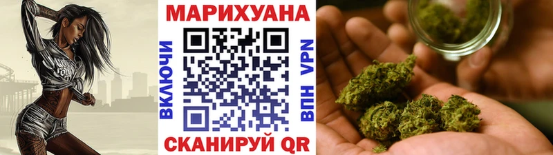 Купить закладки  Шарья  Конопля AK-47 